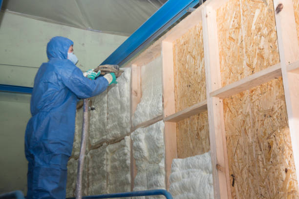 Best Insulation Removal Services  in USA